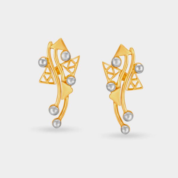 Drop Earrings