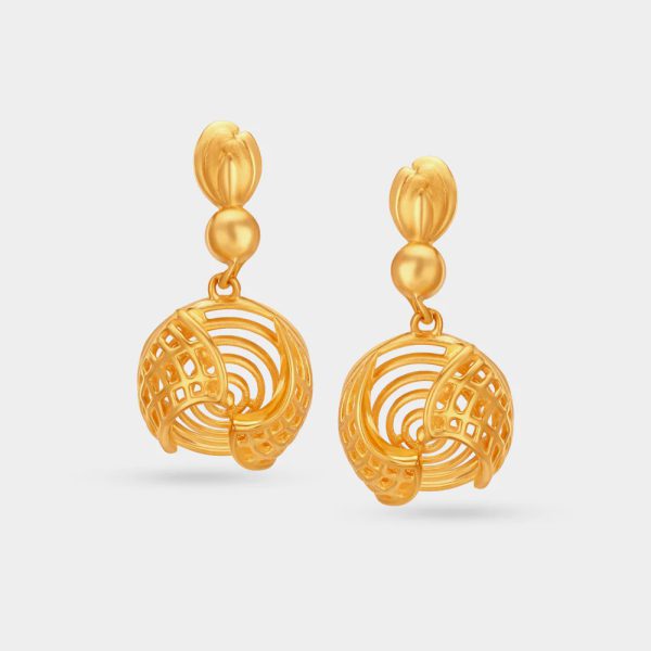 Dazzling Earrings
